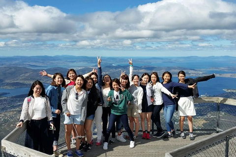 Mt Field National Park Active Day-Trip Including Bonorong And Mt Wellington - Sydneys Hotel 2