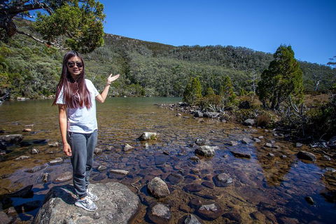 Mt Field National Park Active Day-Trip Including Bonorong And Mt Wellington - Sydneys Hotel 4