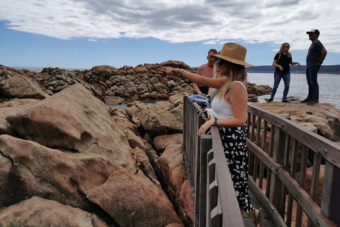 Margaret River Impression Day Tour From Perth - Sydneys Hotel 4