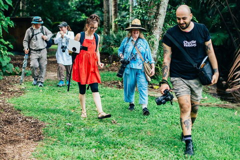 Let's Go Buggin & Let's Go Shroomin - Photography & Nature Walking Tours - Sydneys Hotel 0