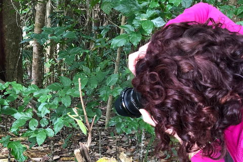 Let's Go Buggin & Let's Go Shroomin - Photography & Nature Walking Tours - Sydneys Hotel 1