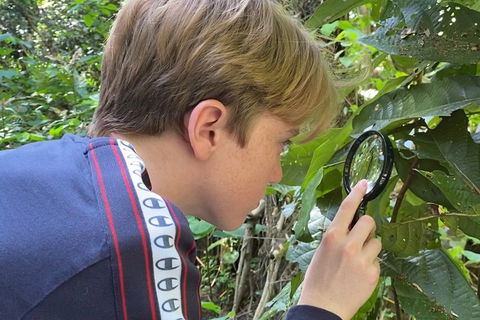 Let's Go Buggin & Let's Go Shroomin - Photography & Nature Walking Tours - Sydneys Hotel 3