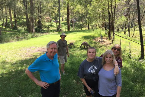 Small Group Blue Mountains Day Tour From Sydney - Sydneys Hotel 1