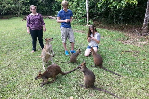 Small Group Blue Mountains Day Tour From Sydney - Sydneys Hotel 2