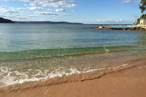 Small-Group Sydney's Northern Beaches And Ku-ring-gai National Park Bus Tour - Sydneys Hotel 1