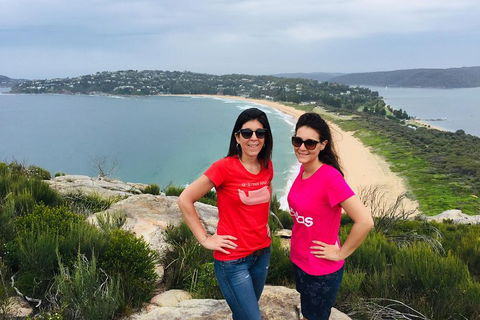 Small-Group Sydney's Northern Beaches And Ku-ring-gai National Park Bus Tour - Sydneys Hotel 3