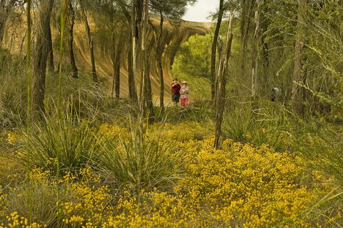 2-Day Wave Rock, York, Wildflowers & Aboriginal Experience - Sydneys Hotel 2