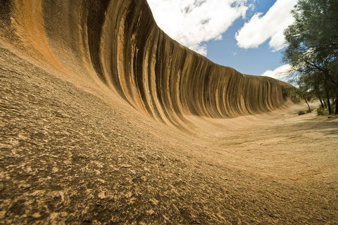 Wave Rock, York, Wildflowers, And Aboriginal Cultural Day Tour From Perth - Sydneys Hotel 0