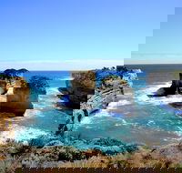Great Ocean Road Small-Group Ecotour from Melbourne - Sydneys Hotel