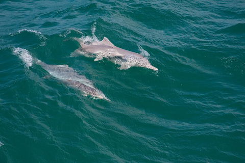 North Stradbroke Island Private Tour With Pickup - Sydneys Hotel 0