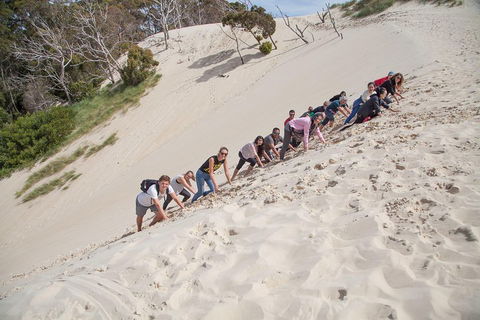 6-Day Tasmanian Explorer Adventure Tour From Hobart - Sydneys Hotel 2
