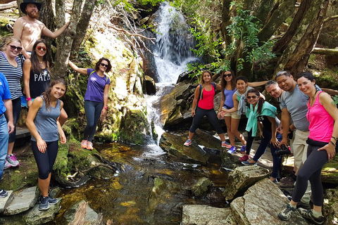7-Day Super Value Tour Of Tasmania: Explore Tasmania's West And East Coasts - Sydneys Hotel 2