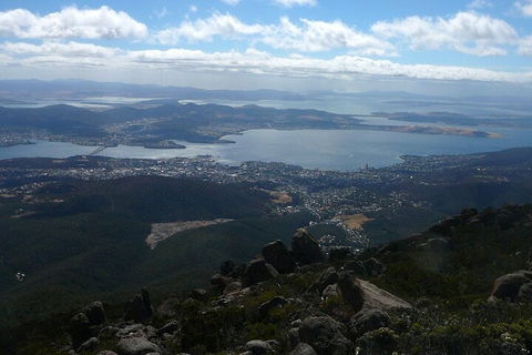 Mt Wellington Tour And MONA Admission - Sydneys Hotel 2