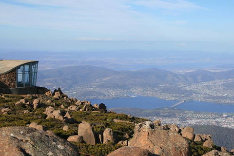 Mt Wellington Tour And MONA Admission - Sydneys Hotel 3