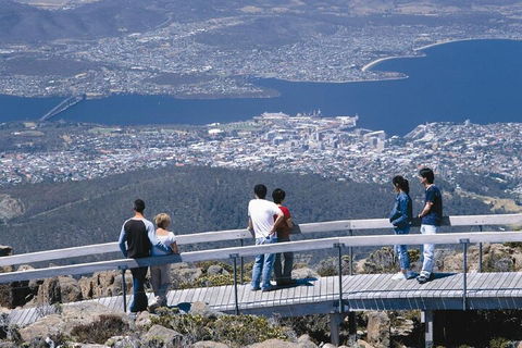 Mt Wellington Tour And MONA Admission - Sydneys Hotel 4