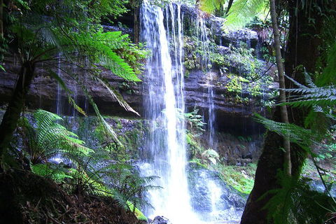 Mt Field National Park And Russell Falls From Hobart - Sydneys Hotel 0