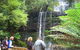Mt Field National Park And Russell Falls From Hobart - thumb 1