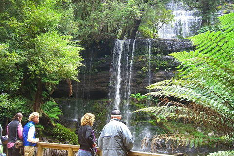 Mt Field National Park And Russell Falls From Hobart - Sydneys Hotel 1