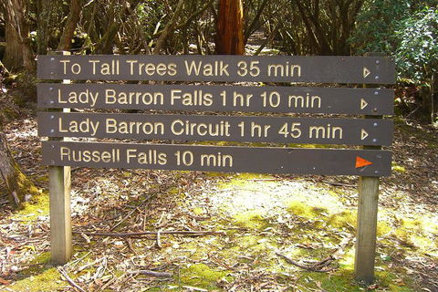Mt Field National Park And Russell Falls From Hobart - Sydneys Hotel 2