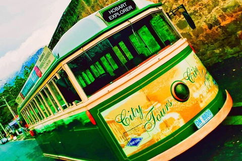 Hobart Half-Day Sightseeing Coach Tram Tour - Sydneys Hotel 5