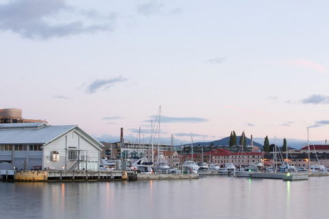 Hobart City Sightseeing Tour Including MONA Admission - Sydneys Hotel 4