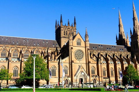 Sydney Private Day Tours | Main Attractions And Highlights | 6 Hour Private Tour - Sydneys Hotel 1