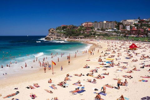 Sydney Private Day Tours | Main Attractions And Highlights | 6 Hour Private Tour - Sydneys Hotel 2