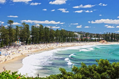Sydney's Northern Beaches Private Tour With River Cruise To Secluded Beaches - Sydneys Hotel 0