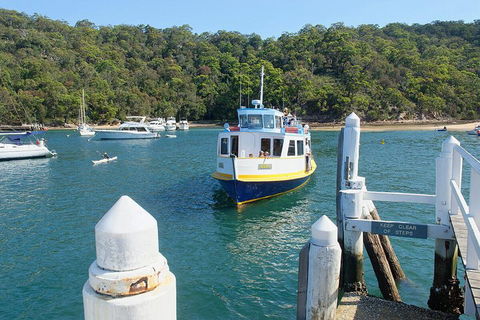 Sydney's Northern Beaches Private Tour With River Cruise To Secluded Beaches - Sydneys Hotel 2