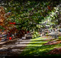 Fully Inclusive Blue Mountains Private Tour inc Scenic World  Featherdale entry - Sydneys Hotel