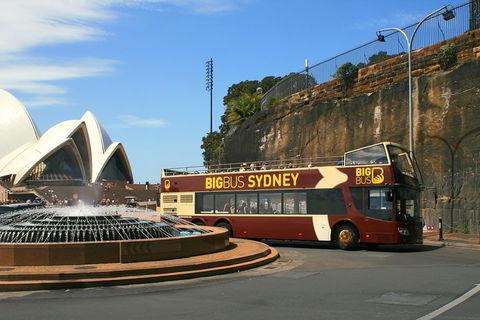 Big Bus Sydney And Bondi Hop-on Hop-off Tour - Sydneys Hotel 3