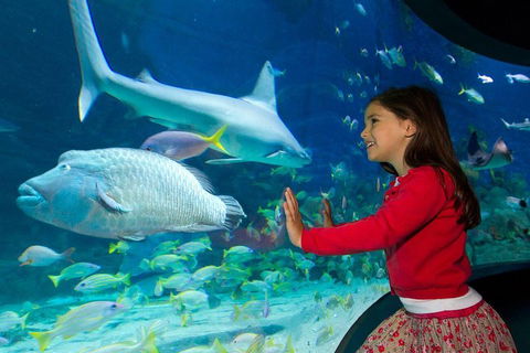 SEA LIFE Melbourne Aquarium Admission Ticket - Sydneys Hotel 1