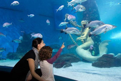SEA LIFE Melbourne Aquarium Admission Ticket - Sydneys Hotel 4