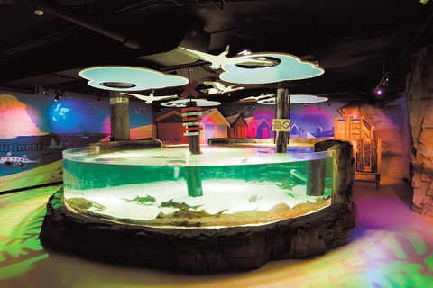 SEA LIFE Melbourne Aquarium Admission Ticket - Sydneys Hotel 5