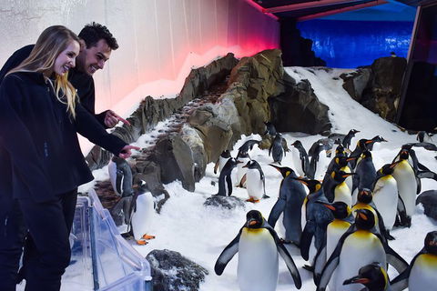 Penguin Passport At SEA LIFE Melbourne Aquarium - Sydneys Hotel 0