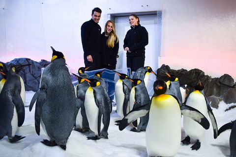 Penguin Passport At SEA LIFE Melbourne Aquarium - Sydneys Hotel 4