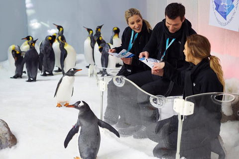 Penguin Passport At SEA LIFE Melbourne Aquarium - Sydneys Hotel 5