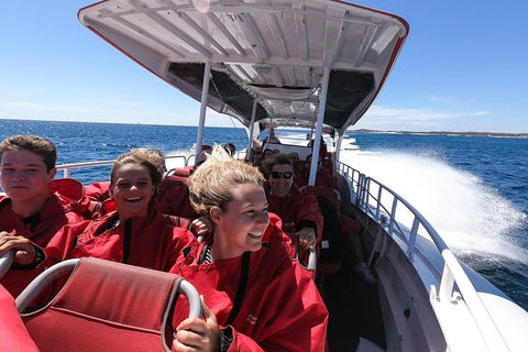 Adventure Rottnest Tour With Ferry & Adventure Cruise From Perth Or Fremantle - Sydneys Hotel 0