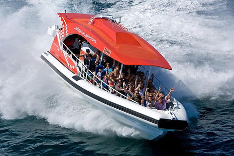 Adventure Rottnest Tour With Ferry & Adventure Cruise From Perth Or Fremantle - Sydneys Hotel 2