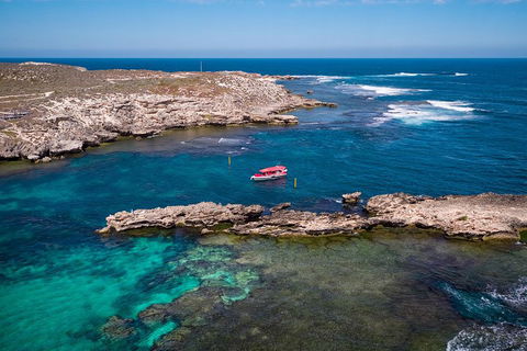 Adventure Rottnest Tour With Ferry & Adventure Cruise From Perth Or Fremantle - Sydneys Hotel 3