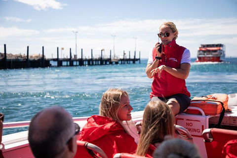 Adventure Rottnest Tour With Ferry & Adventure Cruise From Perth Or Fremantle - Sydneys Hotel 4