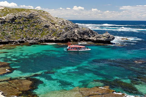 Adventure Rottnest Tour With Ferry & Adventure Cruise From Perth Or Fremantle - Sydneys Hotel 5