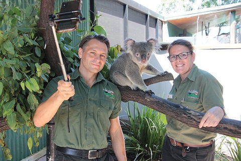 Virtual Interactive Australian Wildlife Tour With Private Guide-Wildlife Habitat - Sydneys Hotel 0