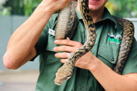 Virtual Interactive Australian Wildlife Tour With Private Guide-Wildlife Habitat - Sydneys Hotel 1