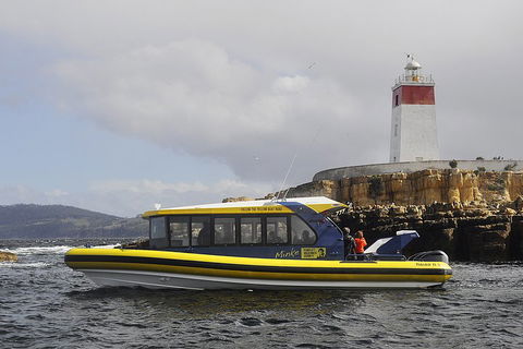 Hobart Sightseeing Cruise Including Iron Pot Lighthouse - Sydneys Hotel 0