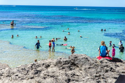 Rottnest Island Roundtrip Fast Ferry From Hillarys Boat Harbour - Sydneys Hotel 1