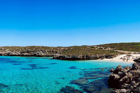 Rottnest Island Roundtrip Fast Ferry From Hillarys Boat Harbour - Sydneys Hotel 4