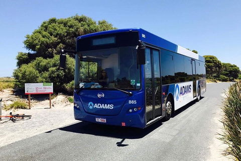 Rottnest Bayseeker Bus Tour From Hillarys Boat Harbour - Sydneys Hotel 0