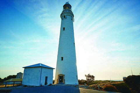 Rottnest Bayseeker Bus Tour From Hillarys Boat Harbour - Sydneys Hotel 2