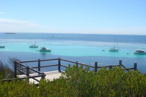 Rottnest Bayseeker Bus Tour From Hillarys Boat Harbour - Sydneys Hotel 3